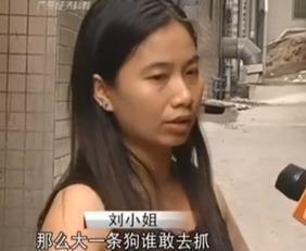 刘小姐深圳爆料事件视频,揭秘事件背后惊人真相