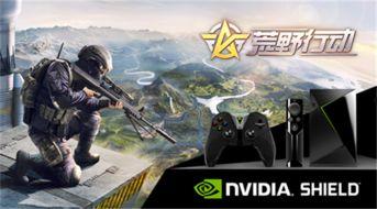 嘎嘎荒野爆料最新消息,最新动态揭秘