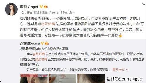 麻婆爱妻爆料视频大全免费观看,揭秘辣妈辣爸的甜蜜瞬间