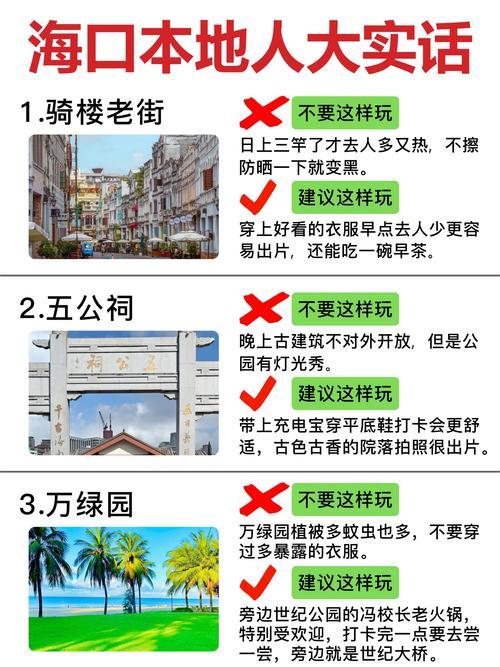 海口 新闻爆料,聚焦城市热点事件与民生关切